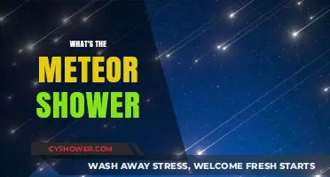 Understanding Meteor Showers: A Celestial Light Show Explained