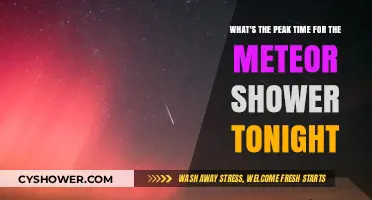 Tonight's Meteor Shower: When to Spot the Peak Celestial Display