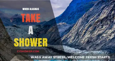 When Alaska's Glaciers Melt: The Shower That Reshapes the Planet