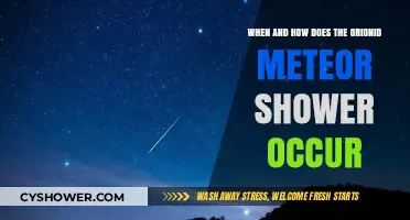 Orionid Meteor Shower: Timing, Viewing Tips, and Celestial Origins