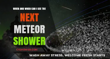Upcoming Meteor Showers: Dates and Best Viewing Tips for Stargazers