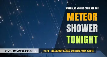 Tonight's Meteor Shower: Best Viewing Times and Locations Revealed