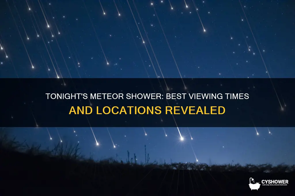 when and where can i see the meteor shower tonight