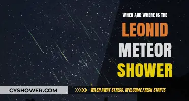Leonid Meteor Shower 2023: Peak Dates and Best Viewing Locations