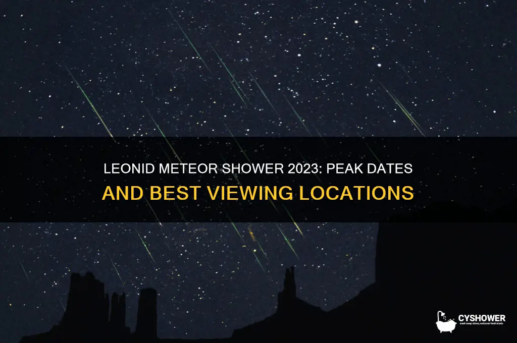 when and where is the leonid meteor shower