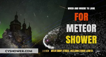 Best Meteor Shower Viewing: Timing, Locations, and Celestial Tips