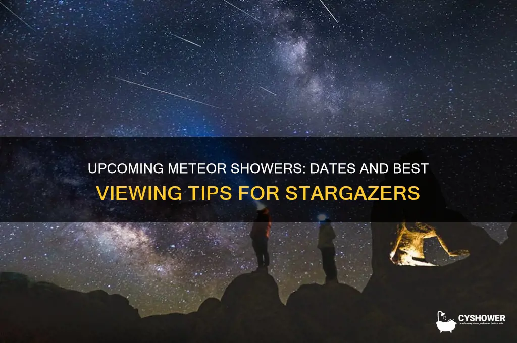 when are we having a meteor shower