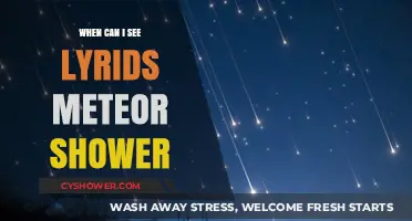 When and Where to Watch the Lyrids Meteor Shower