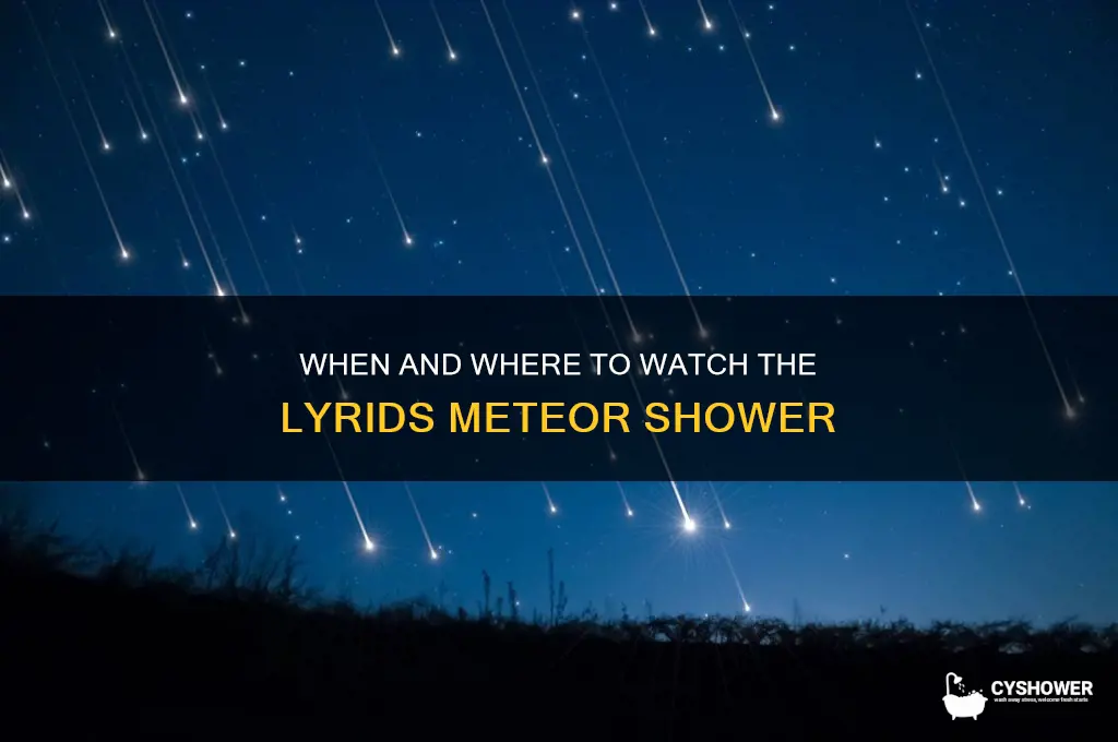 when can i see lyrids meteor shower