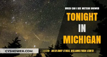 Michigan's Night Sky: Meteor Shower Viewing Tips Tonight