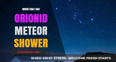 Orionid Meteor Shower 2023: Best Viewing Dates and Tips