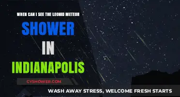 Indianapolis Leonid Meteor Shower Viewing Guide: Dates and Tips