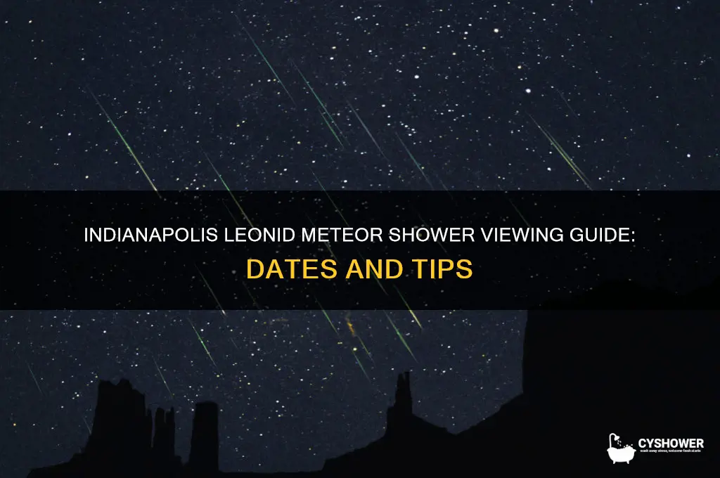 when can i see the leonid meteor shower in indianapolis