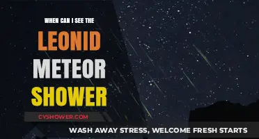 Best Time to Watch the Leonid Meteor Shower This Year