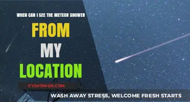 Best Time to Spot Meteor Showers in Your Area