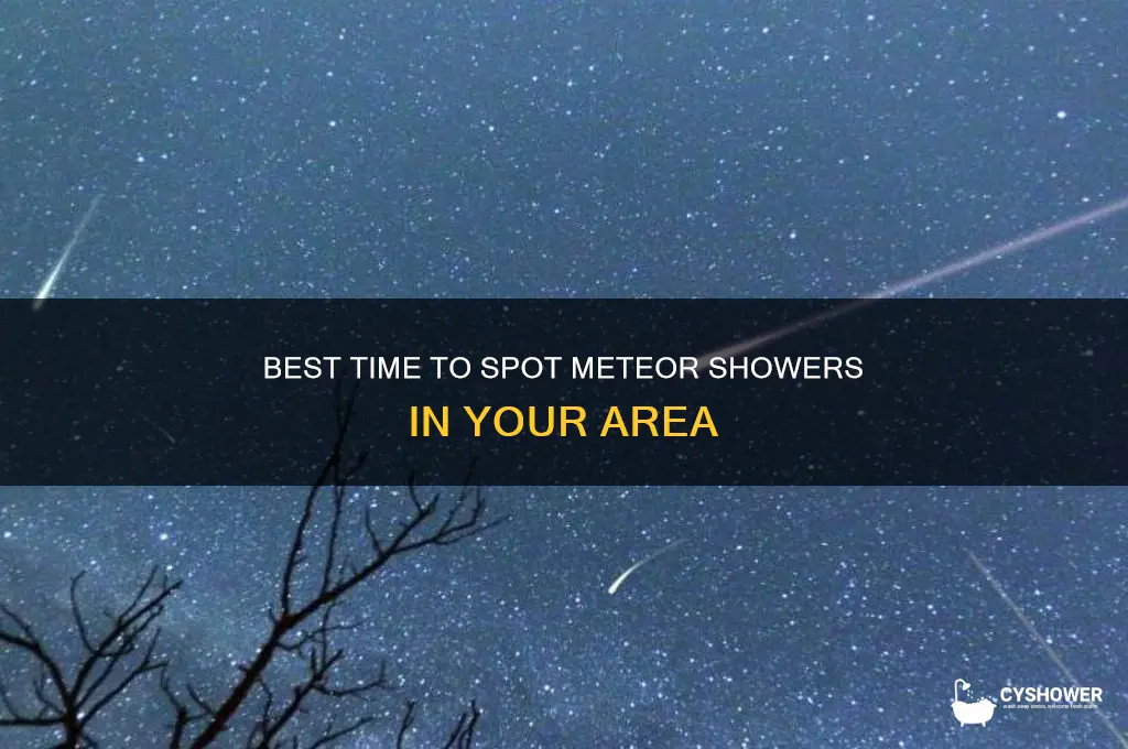 when can i see the meteor shower from my location