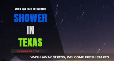 Texas Meteor Shower Guide: Best Dates and Viewing Tips