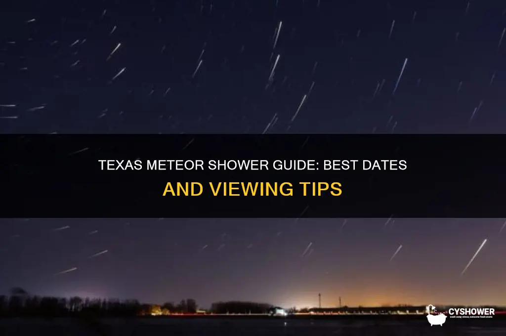 when can i see the meteor shower in texas