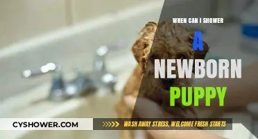 When Can Newborn Puppies Have Their First Shower?