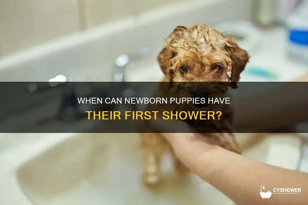 when can i shower a newborn puppy