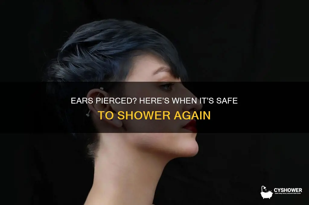 when can i shower after getting my ears pierced
