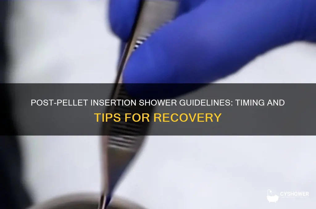 when can i shower after pellet insertion