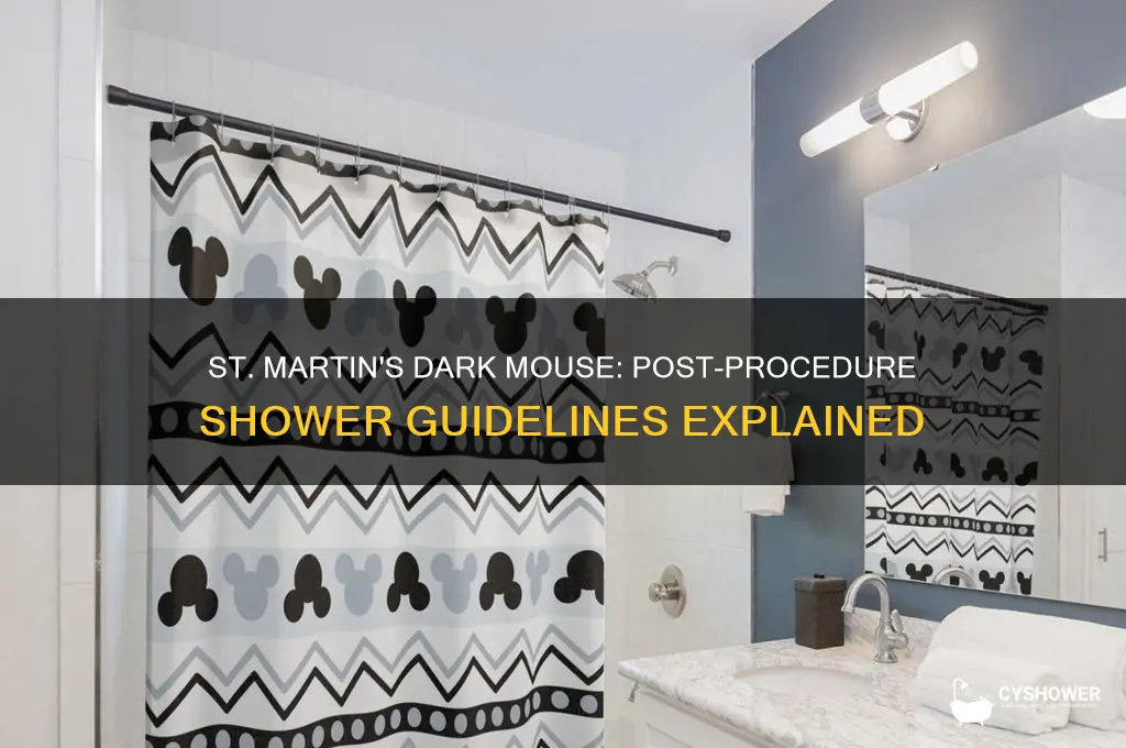 when can i shower and st martin dark mouse