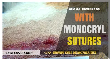 Monocryl Sutures and Dog Baths: When Is It Safe to Shower?
