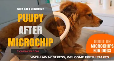 Microchip Aftercare: When Can Your Puppy Safely Enjoy a Shower?