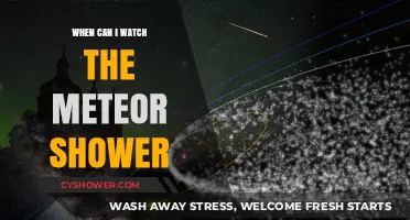 Best Time to Watch the Meteor Shower: A Stargazer's Guide