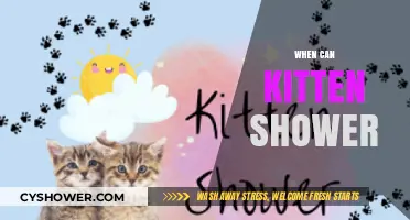 When Can You Host a Kitten Shower: Purr-fect Timing Tips