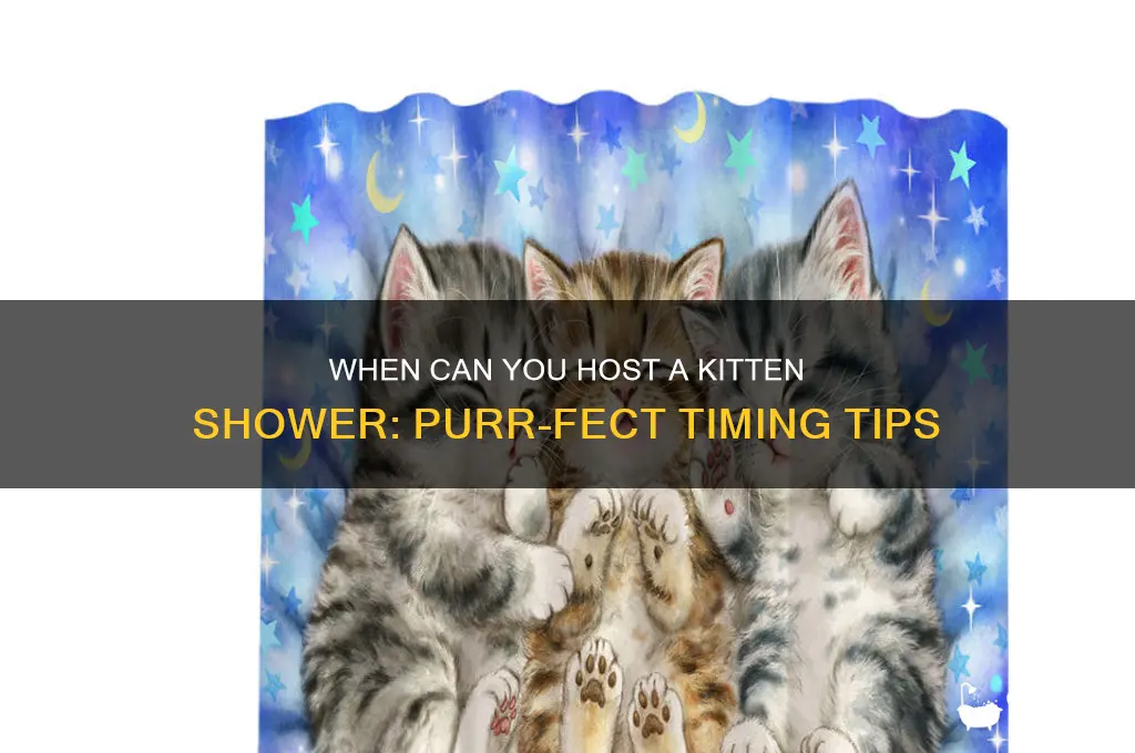 when can kitten shower