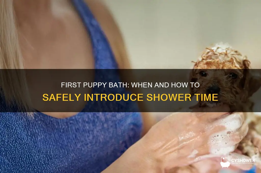 when can puppies shower for the first time