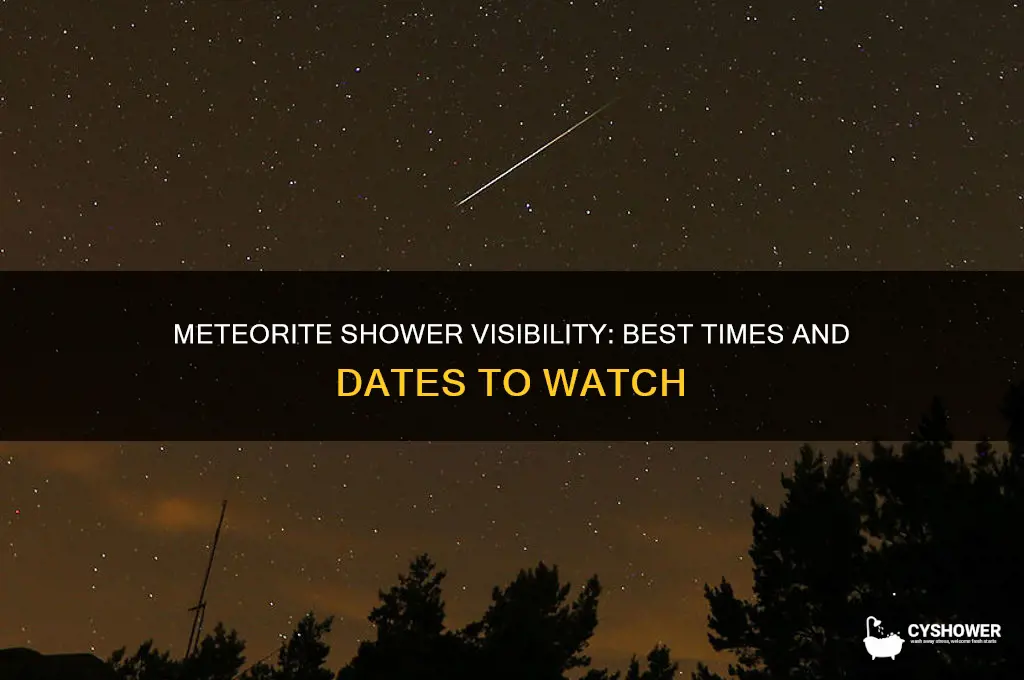 when can the meteorite shower be seen