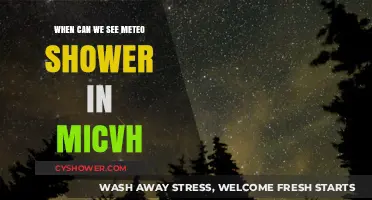 When to Spot the Meteoric Shower in Michigan's Night Sky