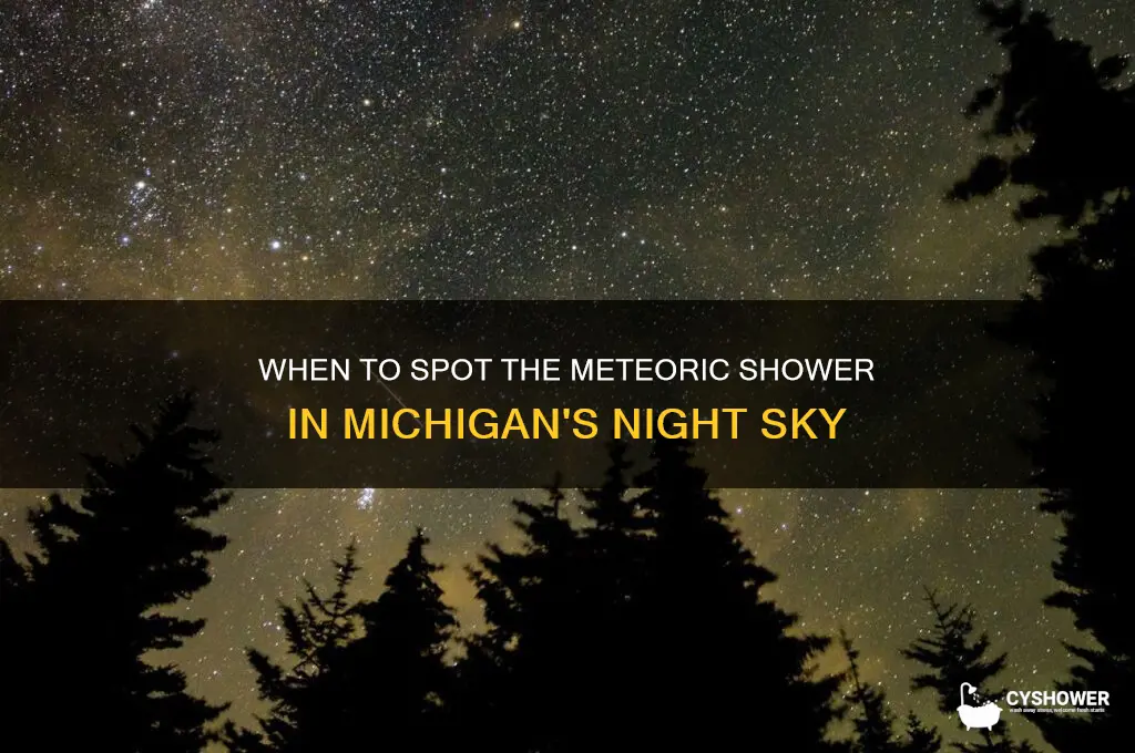 when can we see meteo shower in micvh