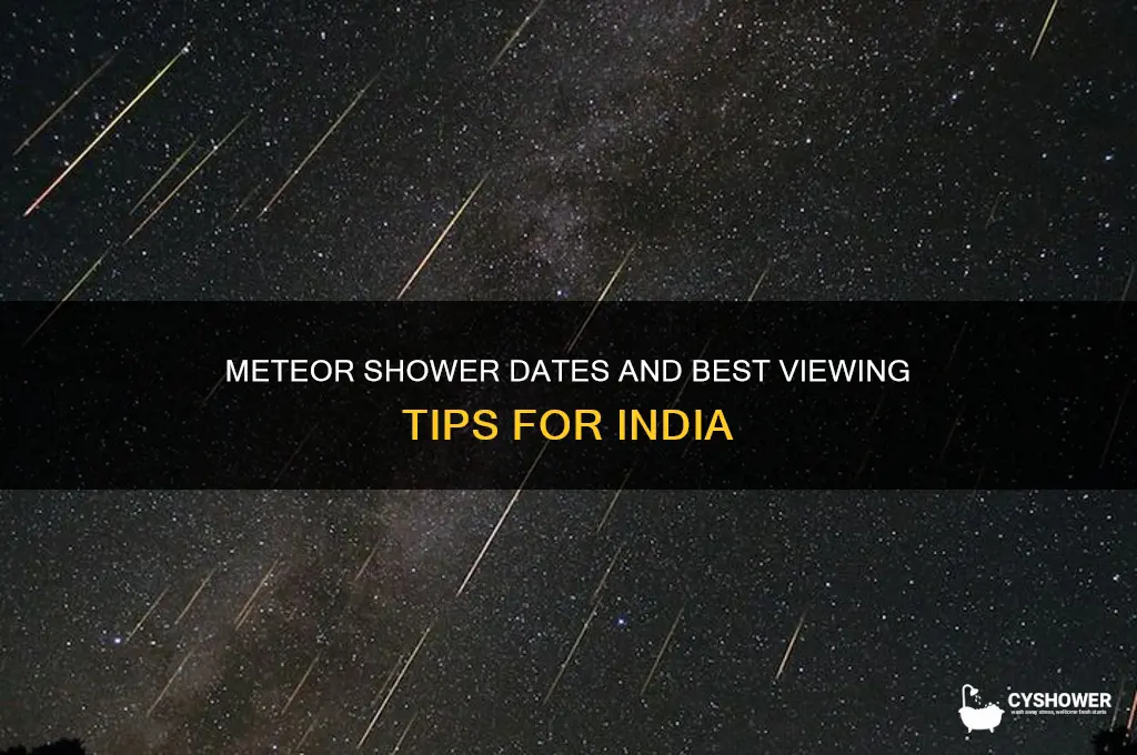 when can we see meteor shower in india