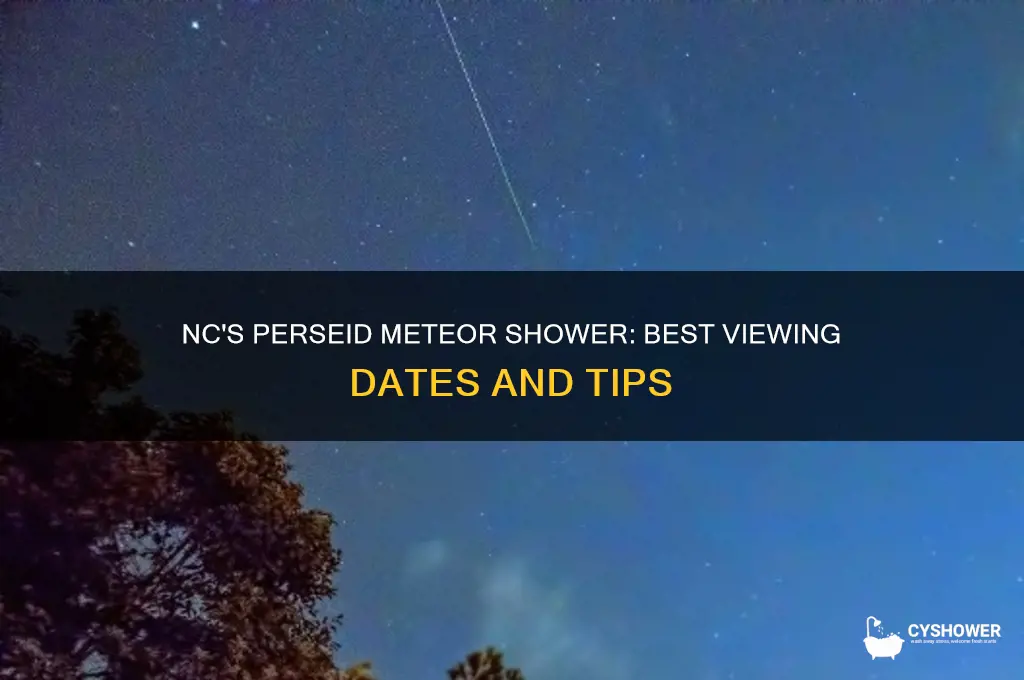 when can we see the perseid meteor shower in nc
