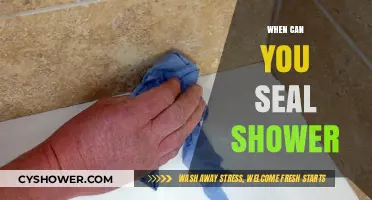 Sealing Your Shower: The Best Time and Tips for a Perfect Finish