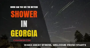 Georgia's Meteor Shower Guide: Best Dates and Viewing Tips