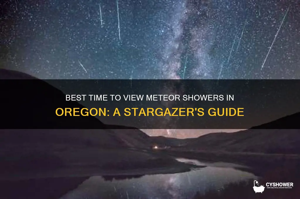 when ciew meteor shower in orwehon