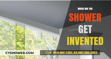 The Evolution of Cleanliness: When Was the Shower Invented?