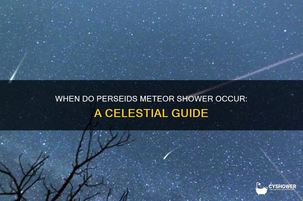 when do perseids meteor shower occur
