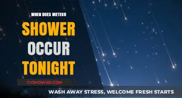 Tonight's Meteor Shower: When and Where to Watch the Celestial Show