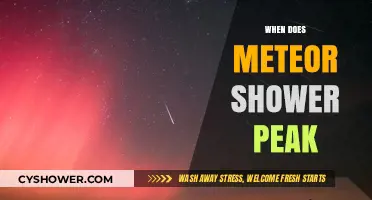 Best Time to Watch: When Does the Meteor Shower Peak?