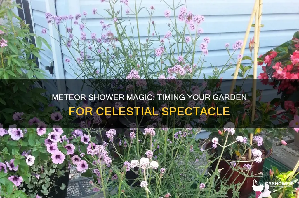 when does meteor shower start in grow a garden