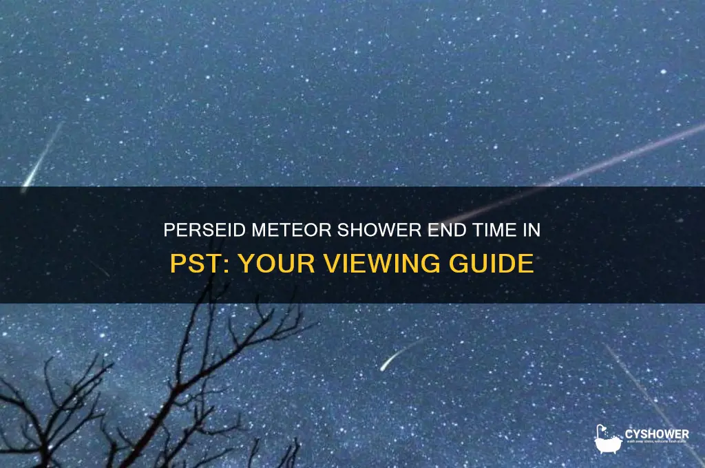 when does perseid meteor shower end pst