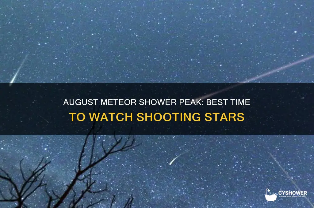 when does the aug meteor shower peak