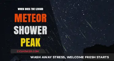 Leonid Meteor Shower Peak: When and Where to Watch