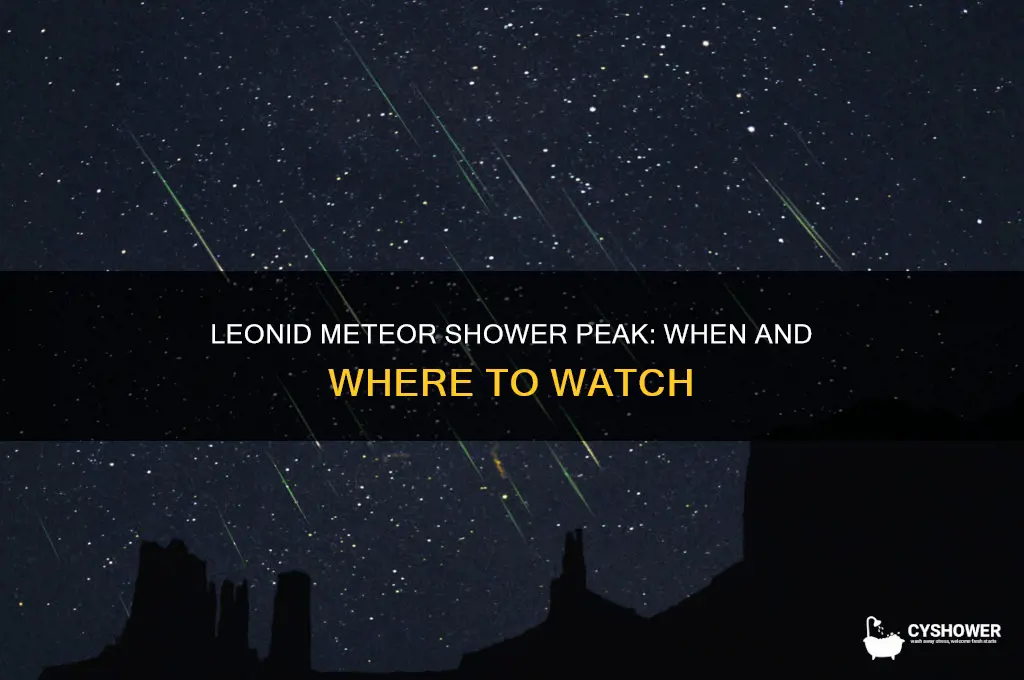 when does the leonid meteor shower peak